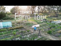 Tour of our Flower and Vegetable Farm in Summer| gardening in Australia