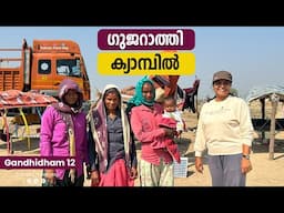 The polluted Sabarmati river and the tobacco plantation |  Gandhidam Trip  ( Gujarat ) | EP - 12 |