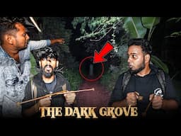 The Dark Grove !