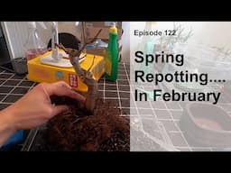 Episode 122, Spring Repotting... In February