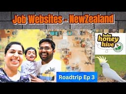 💥NewZealand job search க்கு🇳🇿 நான் use panna websites | தேனீ 🐝மாளிகை🏰 in NewZealand | Roadtrip Ep3 🚕