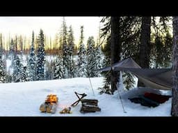 Camping Under The Full Moon - Winter Tarp Adventure