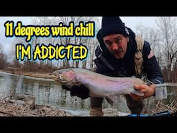 Winter Steelhead Addiction - just had to get out