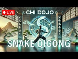 Chi Dojo: YEAR OF THE SNAKE | Chinese New Year Live Qigong Class Special