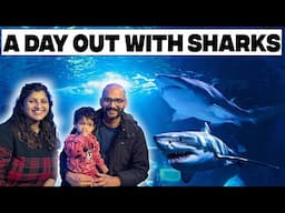 A Day at the Aquarium: Celebrating Christmas with Sharks @AlbeliRitu