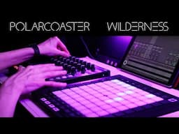 Polarcoaster - Wilderness | Volca Modular + Eurorack + Ableton Live