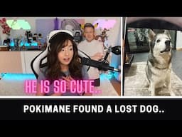 Pokimane found a lost dog..