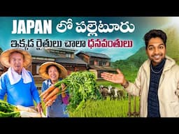 Peaceful Japan Village Tour | Farmers are VERY RICH here | Genbikei Gorge