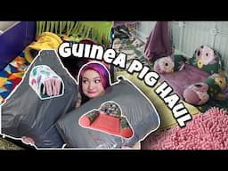 THE BEST GUINEA PIG HAUL YET! 🐽💗