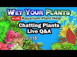 Aquarium Plant Chat, Live Q&A, Planted Tank Tips (WYP 118)