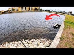 I Can't Believe the Fish Trapped in this Lake!