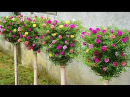 VERTICAL GARDEN MAGIC In Small Spaces With Plastic Bottles!