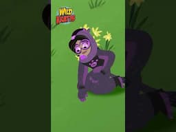 Activate Groundhog Powers | Happy Groundhog Day | Wild Kratts #shorts