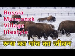 Russia village murmansk Oblast lifestyle in hindi