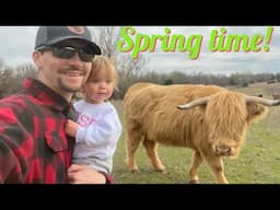 Springtime walks on the farm