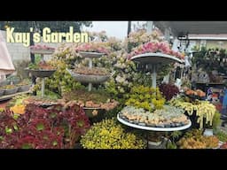 Kay's Garden Tour - February 2025