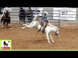 Bronc Riding - 2024 West Texas Ranch Rodeo | Saturday