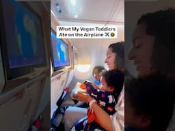 Vegan Toddler Airplane Snacks ✈️🌱