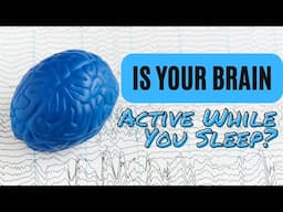 Is Your Brain Active While Asleep?