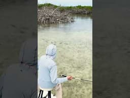 It isn’t easy making it look this easy… #Fishing #FlyFishing #Bonefish #Abaco #Bahamas