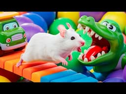 🐹 Hamster vs Pop It maze for pets 🐹 Escape in the Best Hamster Challenges #170