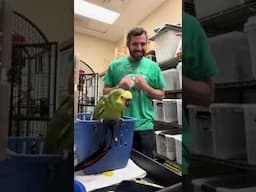 Just a routine interaction with Paco!