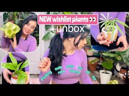 NEW wishlist plant + Picking  pots + unboxing 🪴 👀