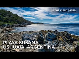 Playa Susana, Ushuaia, Argentina - In The Field #559