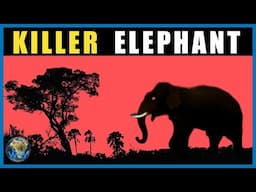 The Killer Elephant of Mandla