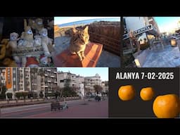 ALANYA ГУЛЯЕМ ПО НАБЕРЕЖНОЙ ОТЕЛИ PARADOR ARSI MONART CITY КОРМИМ КОТЕЕК 7 ФЕВРАЛЯ 2025