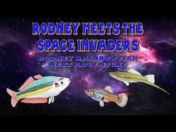 Rodney Meets the Space Invaders Book 2, by Steve Baines, a Rodney Rainbowfish Book for Kids.