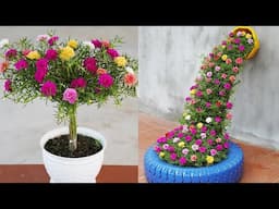 CREATE Your PERFECT Potted Flower Oasis in 2024!