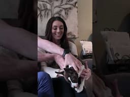 Most Difficult Chiropractic Patient Ever 😂🐶 CRAZY Rescue Dog CANT Sit Still For Adjustment!