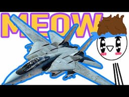 Why the F-14 is the Way it is