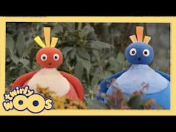 Yukarı | Twirlywoos Türkçe | Çocuklar için Videolar