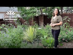 Drought-tough Cottage Design with Native Plants