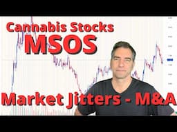 MSOS Stock analysis - The DEA Announcement & M&A Activity