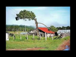 CUADRA TEPEHUANES - CUACO DE MILLA