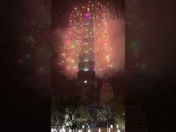 #happynewyear #taiwan #taipei101 #pakistan #usa #india #2025