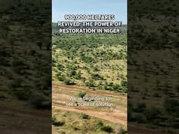 900,000 Hectares Revived: The Power of Restoration in Niger