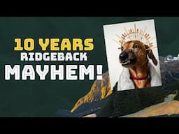 TEN Years Living With Rhodesian Ridgeback Mayhem