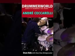 André Ceccarelli: DRUM SOLO with Dee Dee Bridgewater - 1998 #andrececcarelli #drummerworld