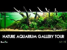 Nature Aquarium Gallery Tour (Aquatic Zone)