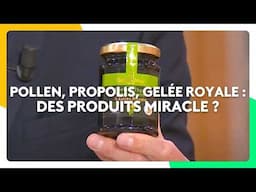 Pollen, propolis, gelée royale : sont-ils vraiment des produits miracle ?