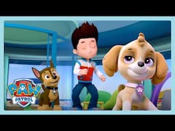 Dance With Paw Patrol | Paw Patrol | Wildbrain Little Jobs