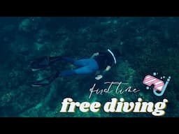 FIRST OPEN WATER FREE DIVING EXPERIENCE (free diving beginner)