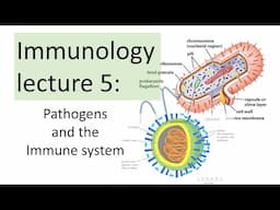 Immunology Lecture 5 | Pathogens and the immune response