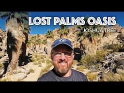 Lost Palms Oasis Hike, Joshua Tree National Park