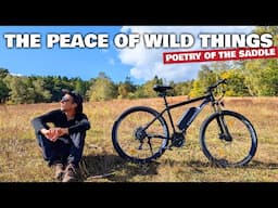 The Peace of Wild Things :: Poetry of the Saddle