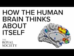 How the human brain thinks about itself | The Royal Society